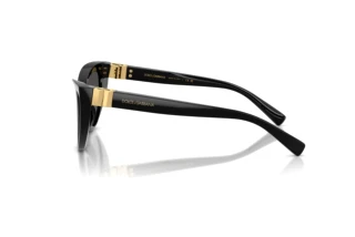 Zijaanzicht Dolce & Gabbana DG4497 (501/87)