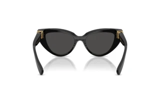 Achteraanzicht Dolce & Gabbana DG4497 (501/87)