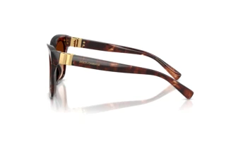 Zijaanzicht Dolce & Gabbana DG4498 (322274)