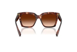Achteraanzicht Dolce & Gabbana DG4498 (322274)