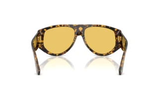 Achteraanzicht Dolce & Gabbana DG4499 (333085)
