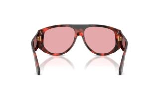 Achteraanzicht Dolce & Gabbana DG4499 (335884)