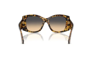 Achteraanzicht Dolce & Gabbana DG4501 (33302Q)