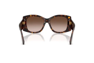 Achteraanzicht Dolce & Gabbana DG4501 (502/13)