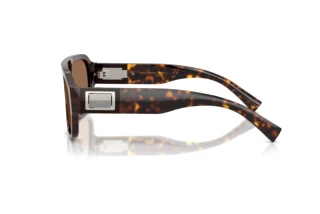Zijaanzicht Dolce & Gabbana DG4506 (502/73)