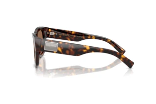 Zijaanzicht Dolce & Gabbana DG4509 (502/73)