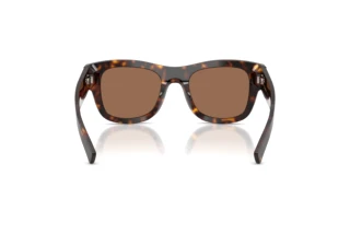 Achteraanzicht Dolce & Gabbana DG4509 (502/73)