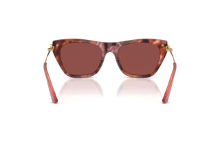 Achteraanzicht Dolce & Gabbana DG4511 (344475)