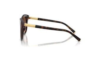Zijaanzicht Dolce & Gabbana DG4518 (502/13)