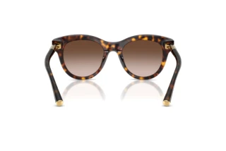 Achteraanzicht Dolce & Gabbana DG4518 (502/13)