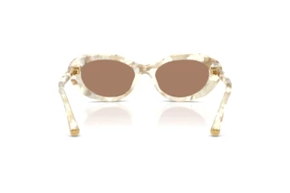 Achteraanzicht Dolce & Gabbana DG4519 (346173)