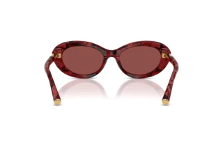 Achteraanzicht Dolce & Gabbana DG4519 (346375)