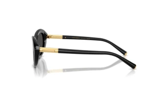 Zijaanzicht Dolce & Gabbana DG4519 (501/87)