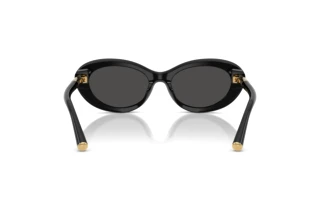Achteraanzicht Dolce & Gabbana DG4519 (501/87)