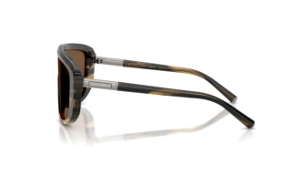 Zijaanzicht Dolce & Gabbana DG4520 (306373)