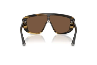 Achteraanzicht Dolce & Gabbana DG4520 (306373)
