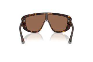 Achteraanzicht Dolce & Gabbana DG4520 (502/73)