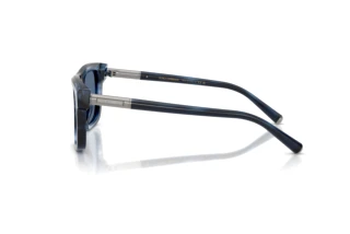 Zijaanzicht Dolce & Gabbana DG4521 (344880)