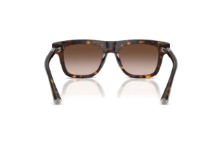 Achteraanzicht Dolce & Gabbana DG4521 (502/13)