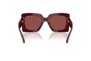 Achteraanzicht Dolce & Gabbana DG4525B (309175)