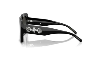 Zijaanzicht Dolce & Gabbana DG4525B (501/88)