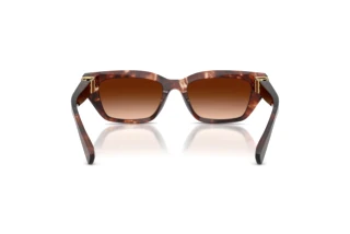 Achteraanzicht Dolce & Gabbana DG4532 (322274)