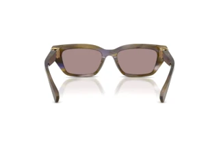 Achteraanzicht Dolce & Gabbana DG4532 (3447LA)