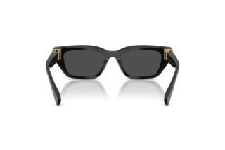 Achteraanzicht Dolce & Gabbana DG4532 (501/87)