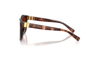 Zijaanzicht Dolce & Gabbana DG4533 (322274)