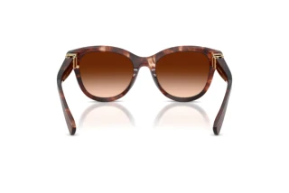 Achteraanzicht Dolce & Gabbana DG4533 (322274)