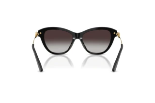 Achteraanzicht Dolce & Gabbana DG4534 (501/8G)