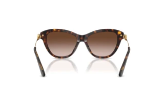 Achteraanzicht Dolce & Gabbana DG4534 (502/13)