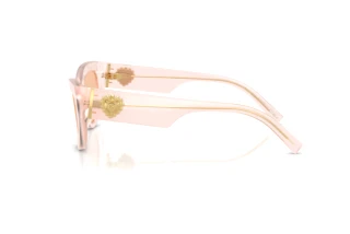 Zijaanzicht Dolce & Gabbana DG4536 (304173)