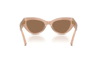 Achteraanzicht Dolce & Gabbana DG4536 (304273)