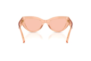 Achteraanzicht Dolce & Gabbana DG4536 (322684)