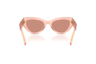 Achteraanzicht Dolce & Gabbana DG4536 (338496)