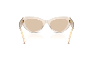 Achteraanzicht Dolce & Gabbana DG4536 (342093)