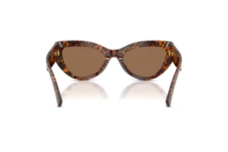 Achteraanzicht Dolce & Gabbana DG4536 (347073)