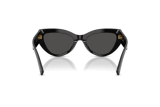 Achteraanzicht Dolce & Gabbana DG4536 (501/87)