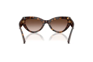 Achteraanzicht Dolce & Gabbana DG4536 (502/13)