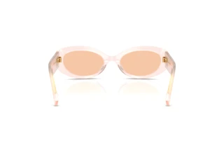 Achteraanzicht Dolce & Gabbana DG4537 (304173)