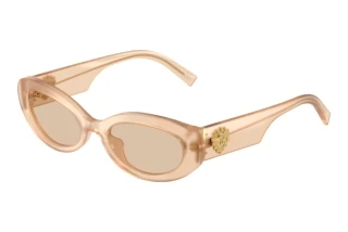Vooraanzicht Dolce & Gabbana DG4537 (308993)