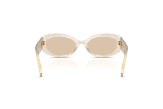 Achteraanzicht Dolce & Gabbana DG4537 (342093)