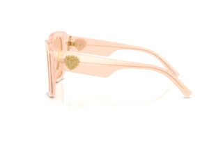 Zijaanzicht Dolce & Gabbana DG4538 (304173)