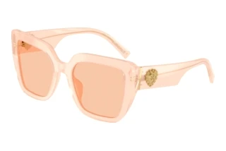 Vooraanzicht Dolce & Gabbana DG4538 (304173)