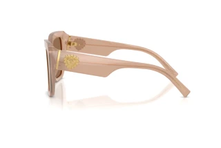 Zijaanzicht Dolce & Gabbana DG4538 (304273)
