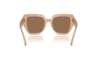 Achteraanzicht Dolce & Gabbana DG4538 (304273)