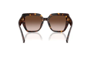 Achteraanzicht Dolce & Gabbana DG4538 (502/13)
