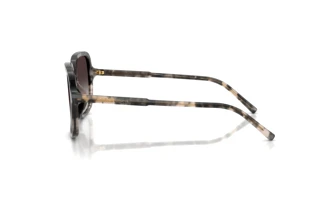 Zijaanzicht Dolce & Gabbana DG4539 (31728G)