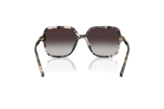 Achteraanzicht Dolce & Gabbana DG4539 (31728G)